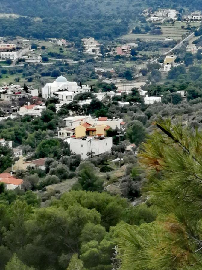 Studio saronis Aparthotel Agia Marina  Esterno foto